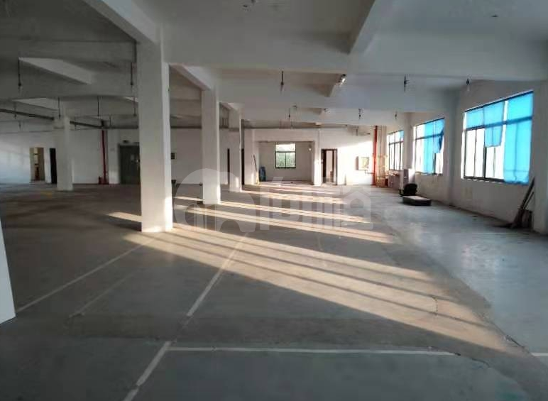新曹杨高新技术园区写字楼 1052m²办公室出租 2.4元/m²/天 简单装修
