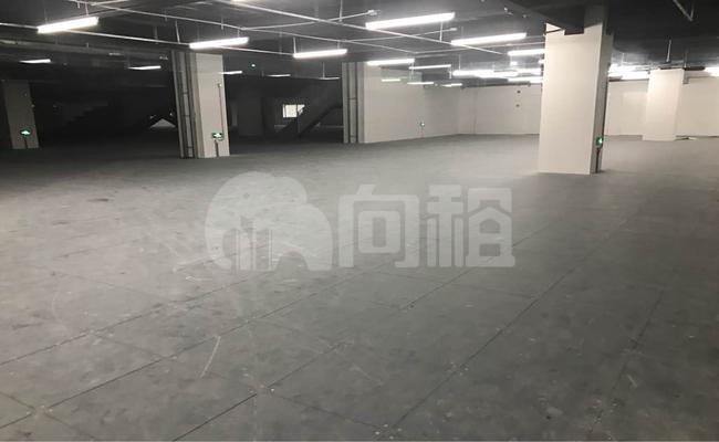 张江国创中心 2497m²办公室 4.3元/m²/天 中等装修