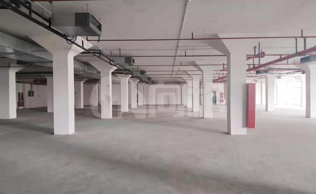 半岛1919 217m²办公室 2.1元/m²/天 简单装修