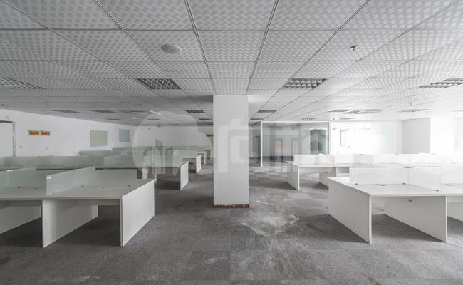 三林金融众创空间 510m²办公室 2.9元/m²/天 精品装修
